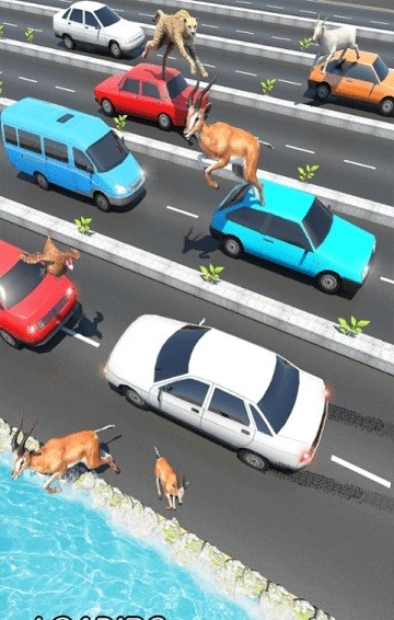 公路上的动物V1.0 安卓版