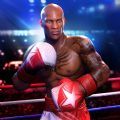 ʵȭ3(Real Boxing 3) V0.9.1 ׿ ׿